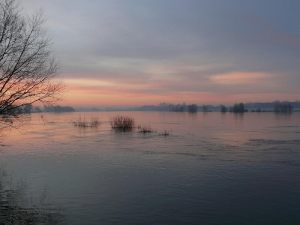 Morgenerwachen an der Elbe